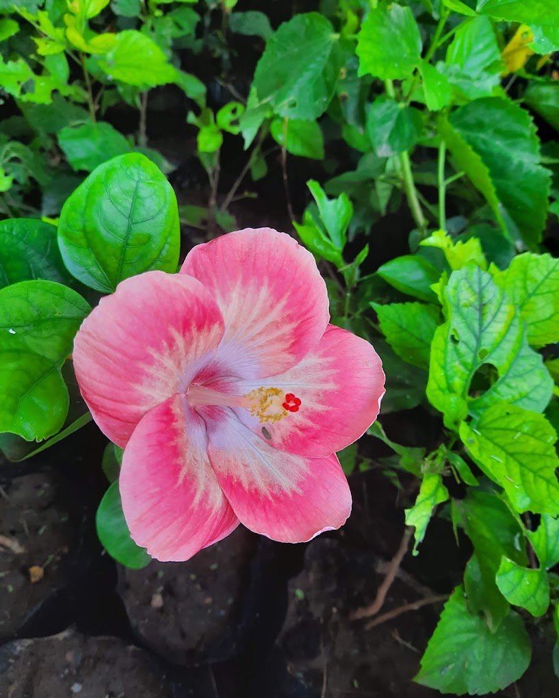 Nursery Tour