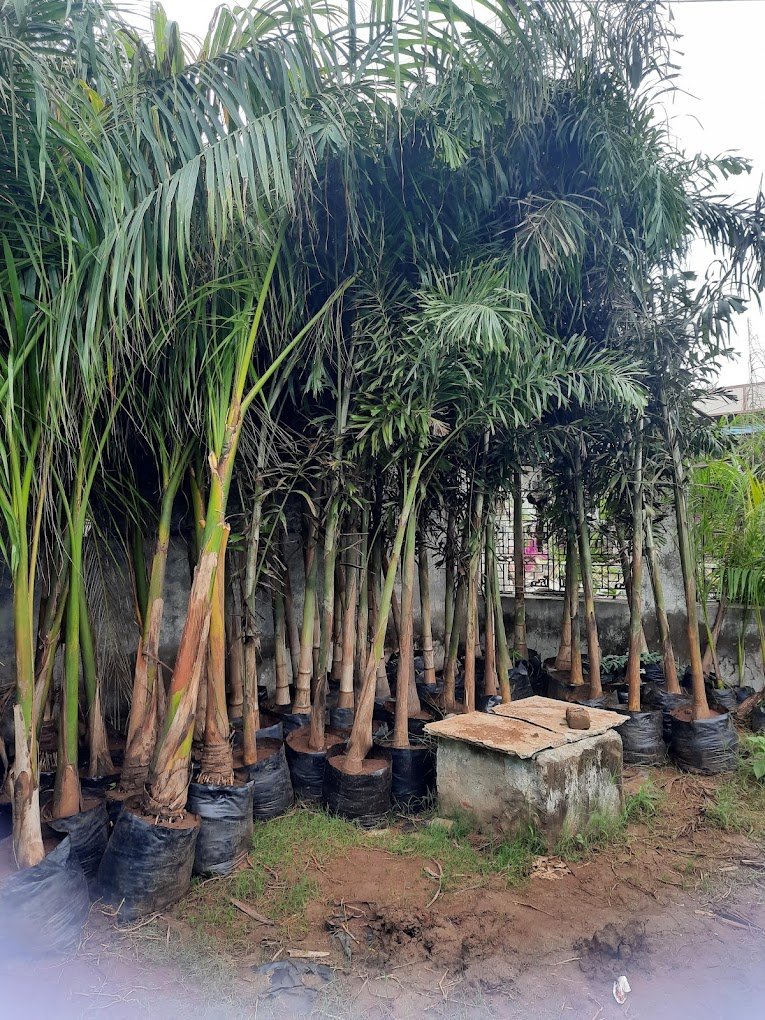 Nursery Tour