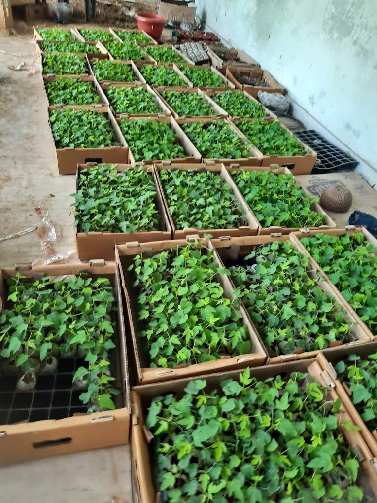 Nursery Tour