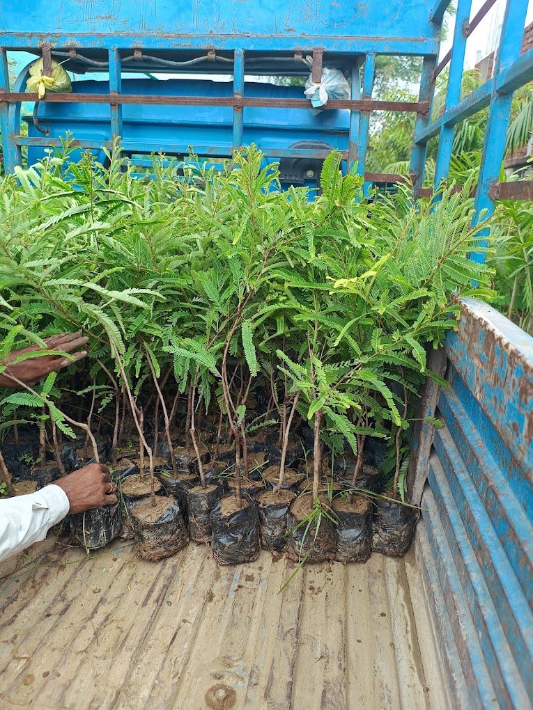 Nursery Tour
