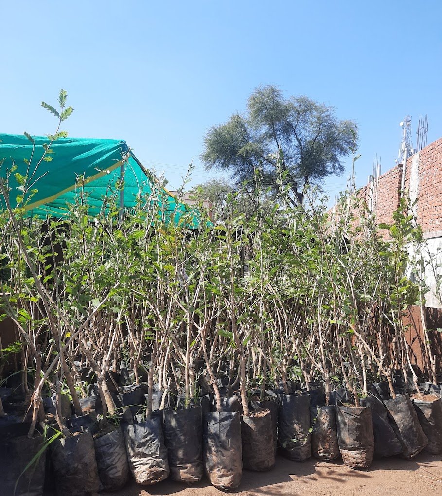 Nursery Tour