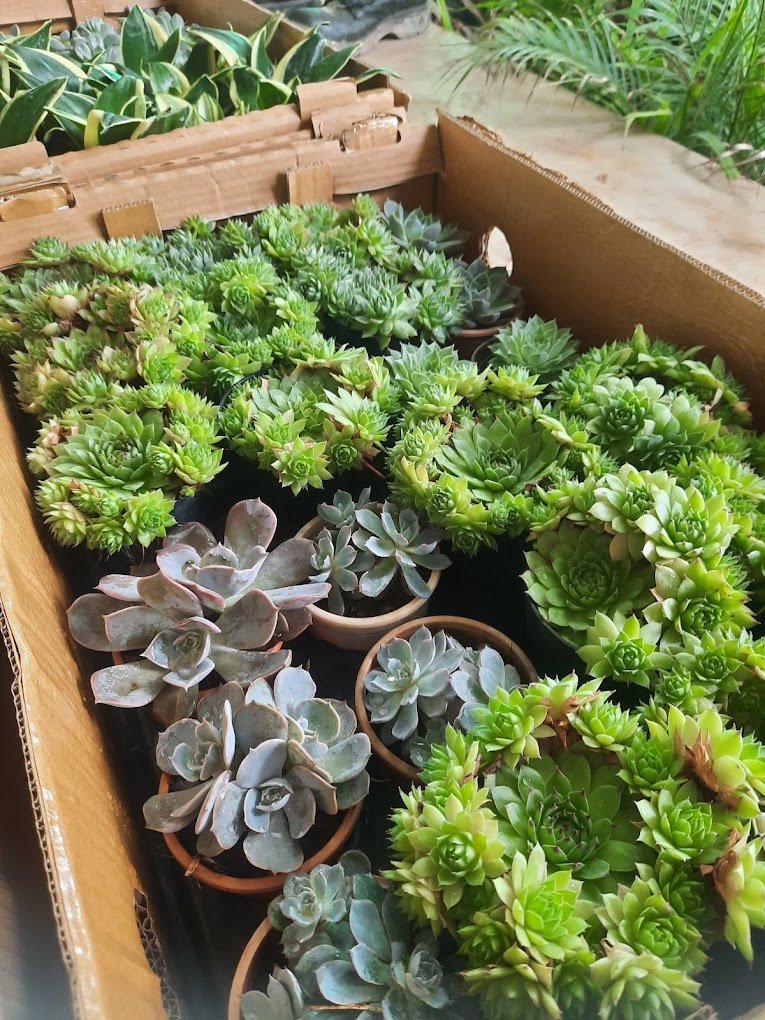 Nursery Tour