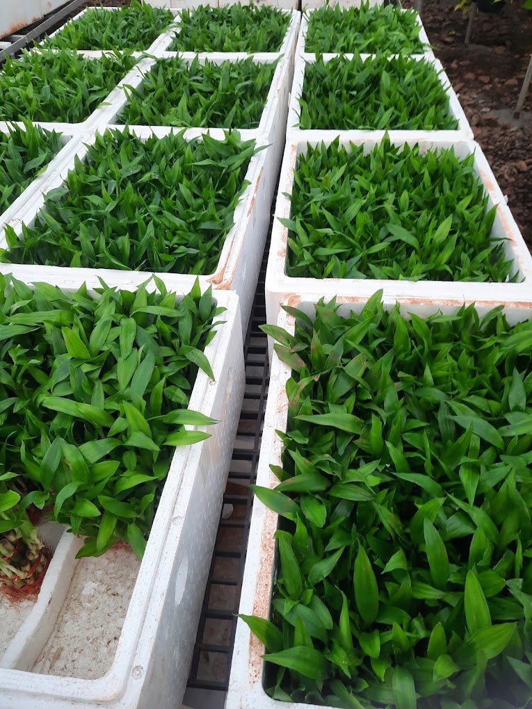 Nursery Tour