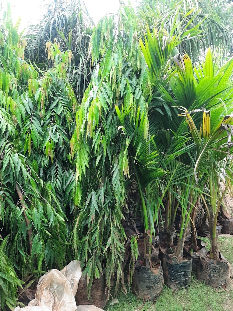 Nursery Tour