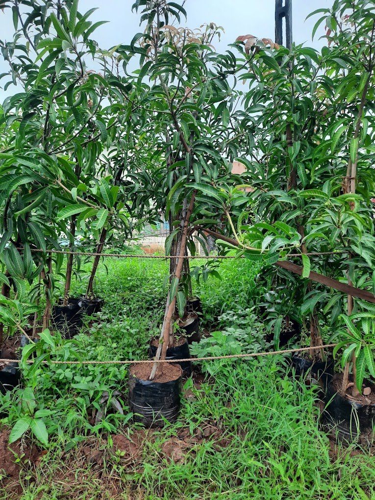 Nursery Tour