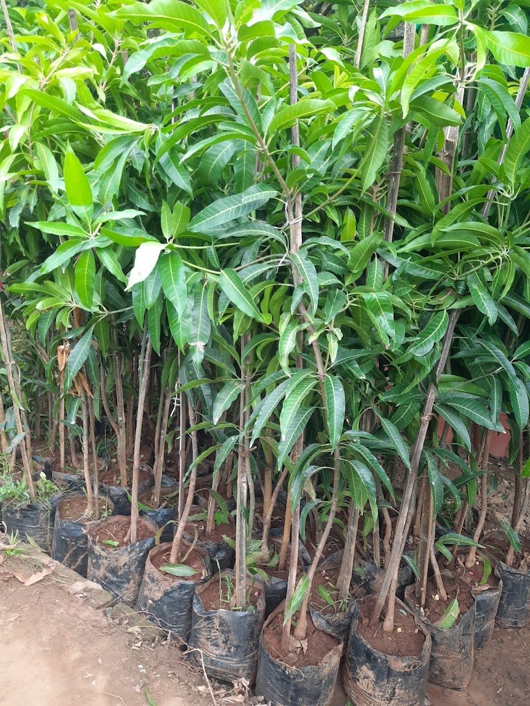 Nursery Tour