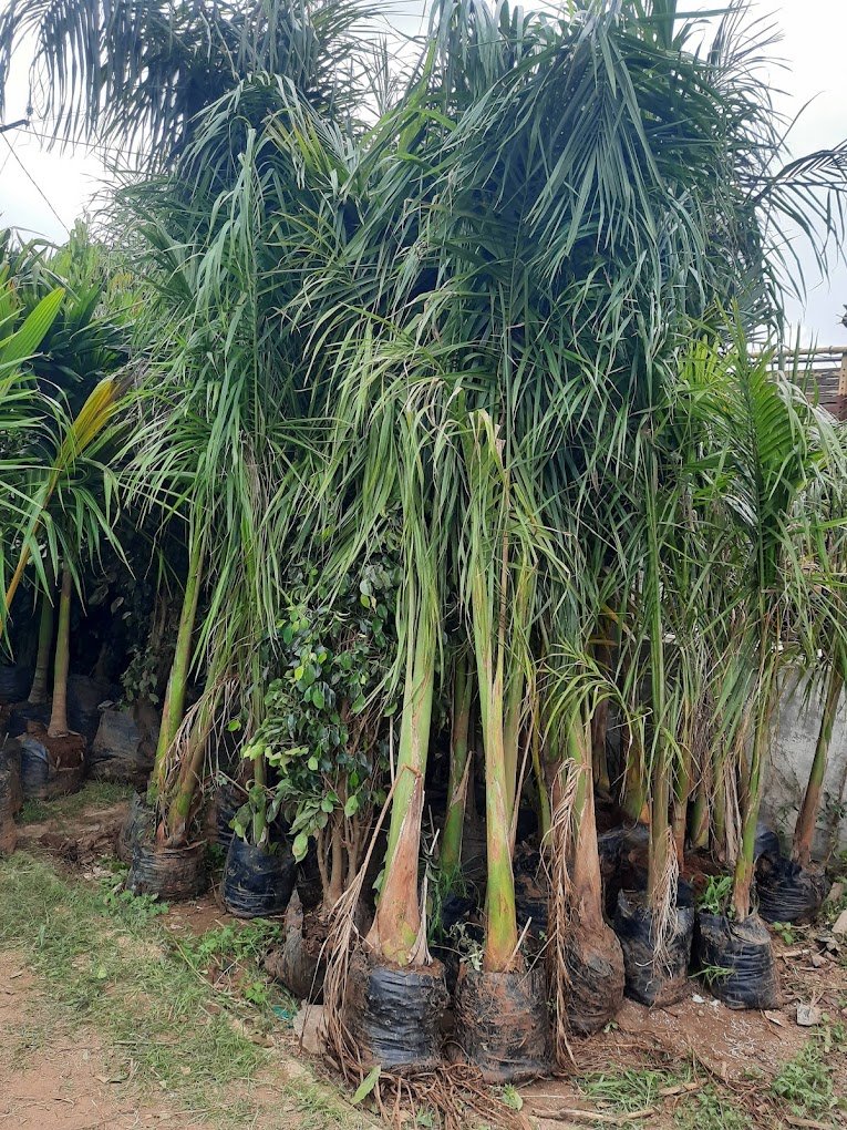 Nursery Tour