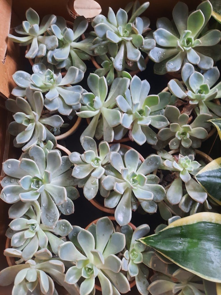 Nursery Tour