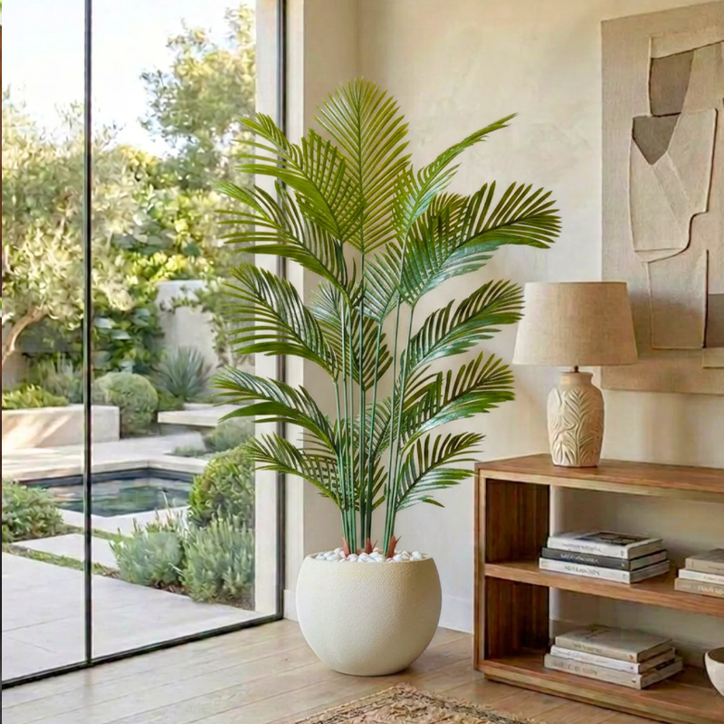 Areca Palm | अरेका पाम